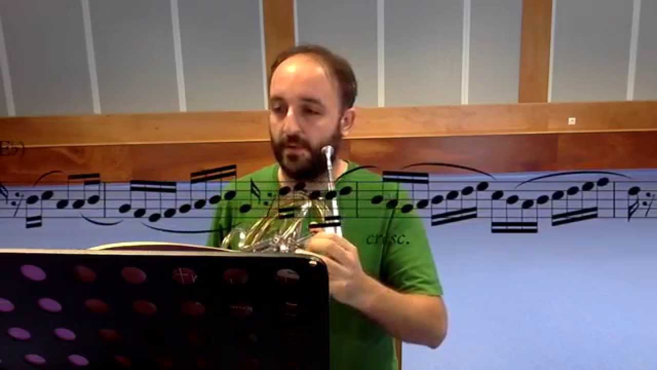 Praticar Articulações na Trompa / Practicing Articulations on the Horn