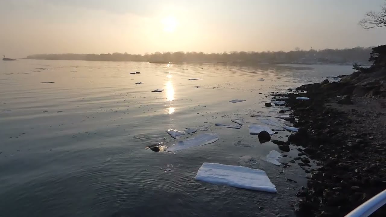 Branford Point - 17/02/2026