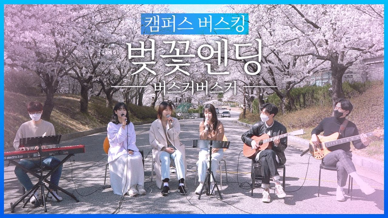 진짜 벚꽃 아래서 부르는 벚꽃엔딩 커버[COVER] - 단국대 뉴뮤직과 캠퍼스 버스킹