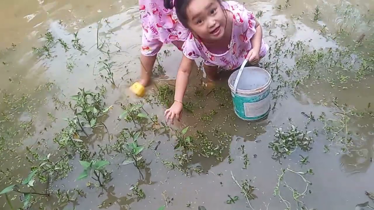 2 chị e đi bắt ốc nấu ăn...lần đầu tiên được dọc nước kkk😄😄😘😘