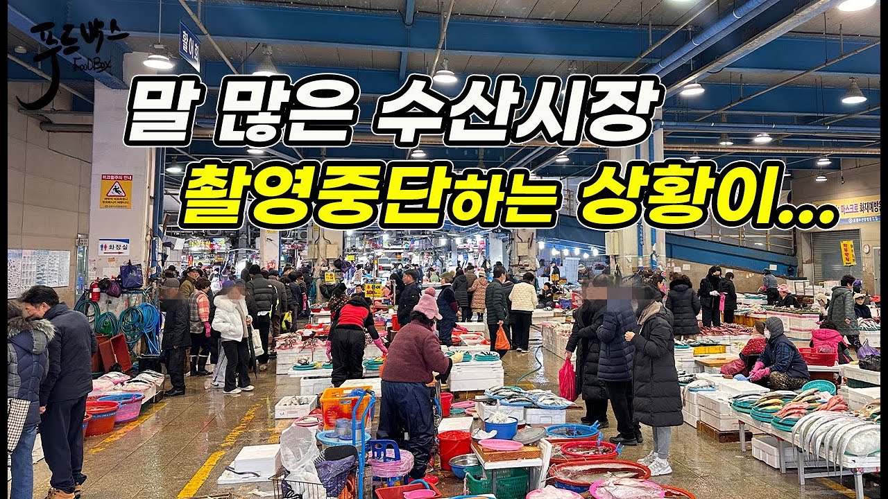 촬영하다 쫓겨 나왔지만… 그래도 재밌었던 포항 죽도시장..