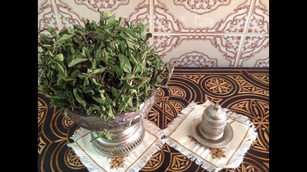 تجفيف النعناع الاخضر🌿🌿🌿 مع الحفاظ على لونه الجميل - The Mint