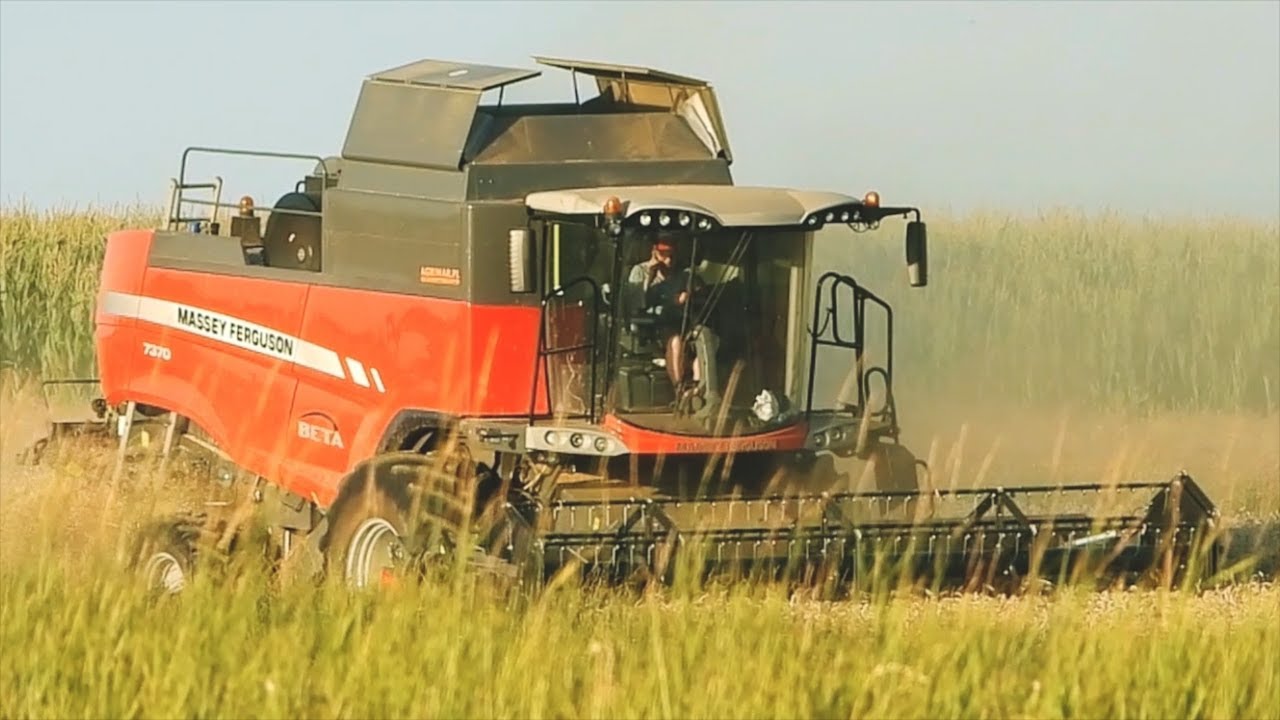 Massey Ferguson BETA 7370