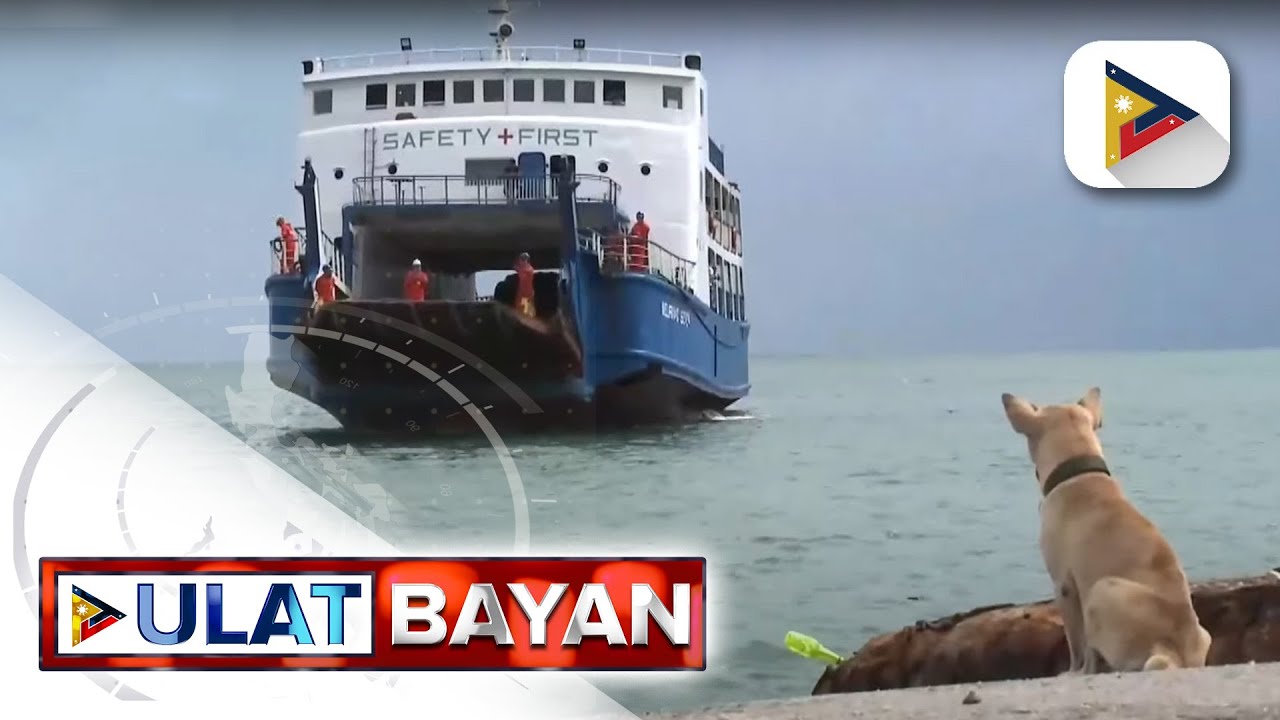 Kilay the porter dog sa Polambato Port sa Bogo City, kinagiliwan sa social media