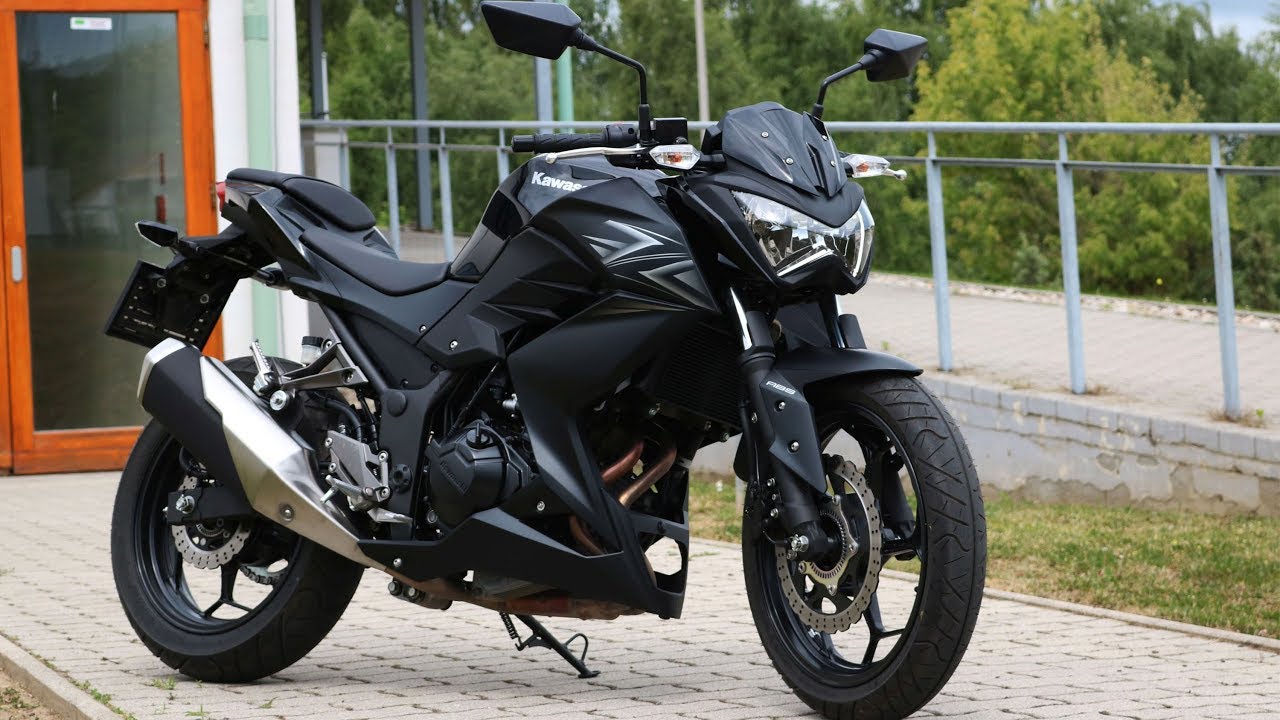 Kawasaki Z300 - Sound & Beauty