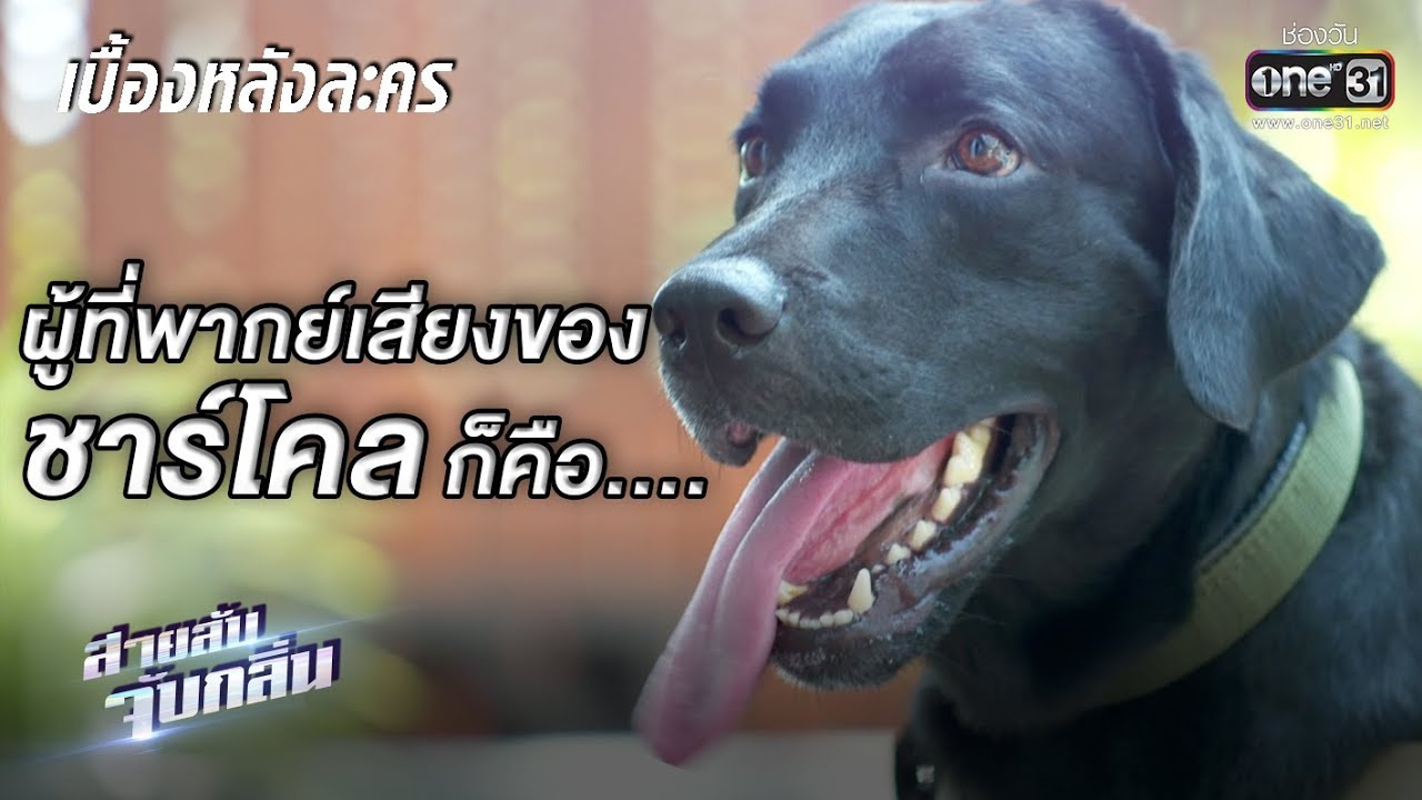 ใครกันหนอคือคนที่พากย์เสียงของ 