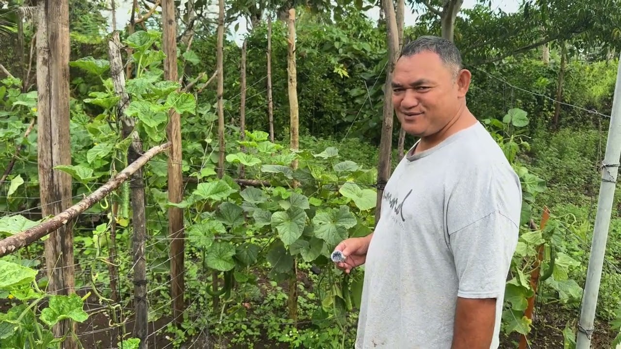 My dad showing his Cucumber Patch❤️💪🏽🇼🇸