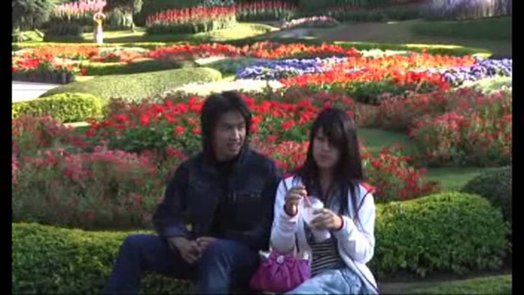 Meu geu 3 (4)