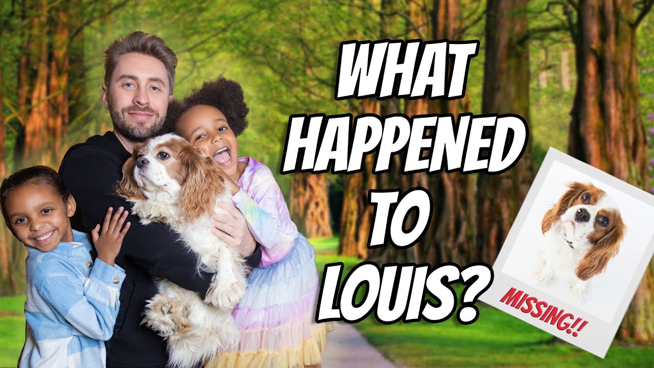 What Happened To Our Dog?
