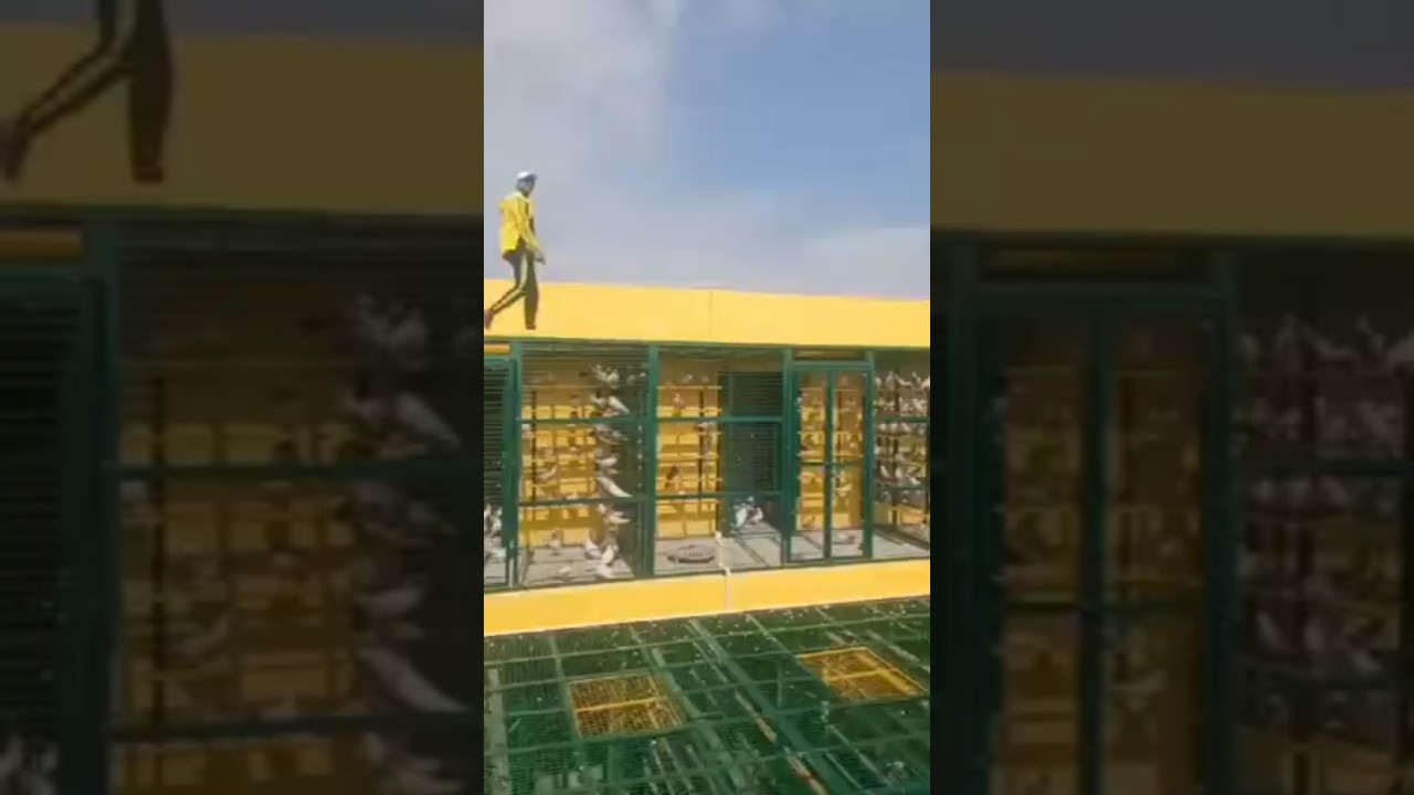Ustad Shariq Chaman  Bidi Wale Meerut Uttar Pradesh India Sa