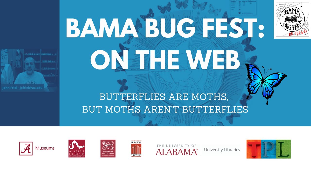 Bama Bug Fest: On the Web - Butterflies are Moths, but Moths aren&rsquo;t Butterflies