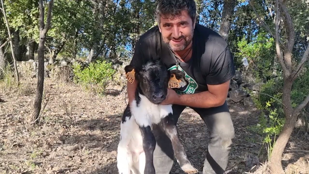 Lo llamaré Martín que hoy es su santo