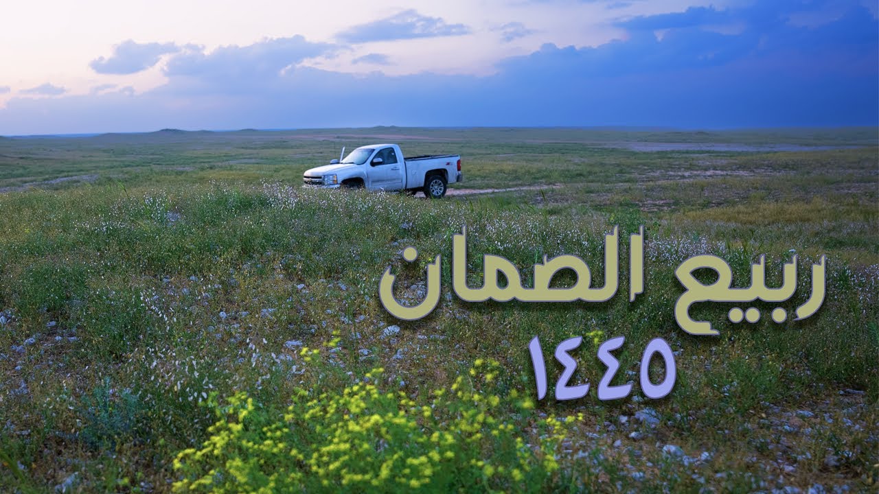كشتة في فياض الصمان | ربيع أستثنائي 1445 |  الحاصبيات أم قرو، أم صحن