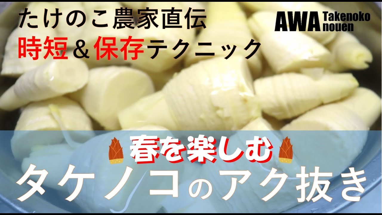【たけのこ農家直伝】タケノコのあく抜き 時短＆保存テクニック