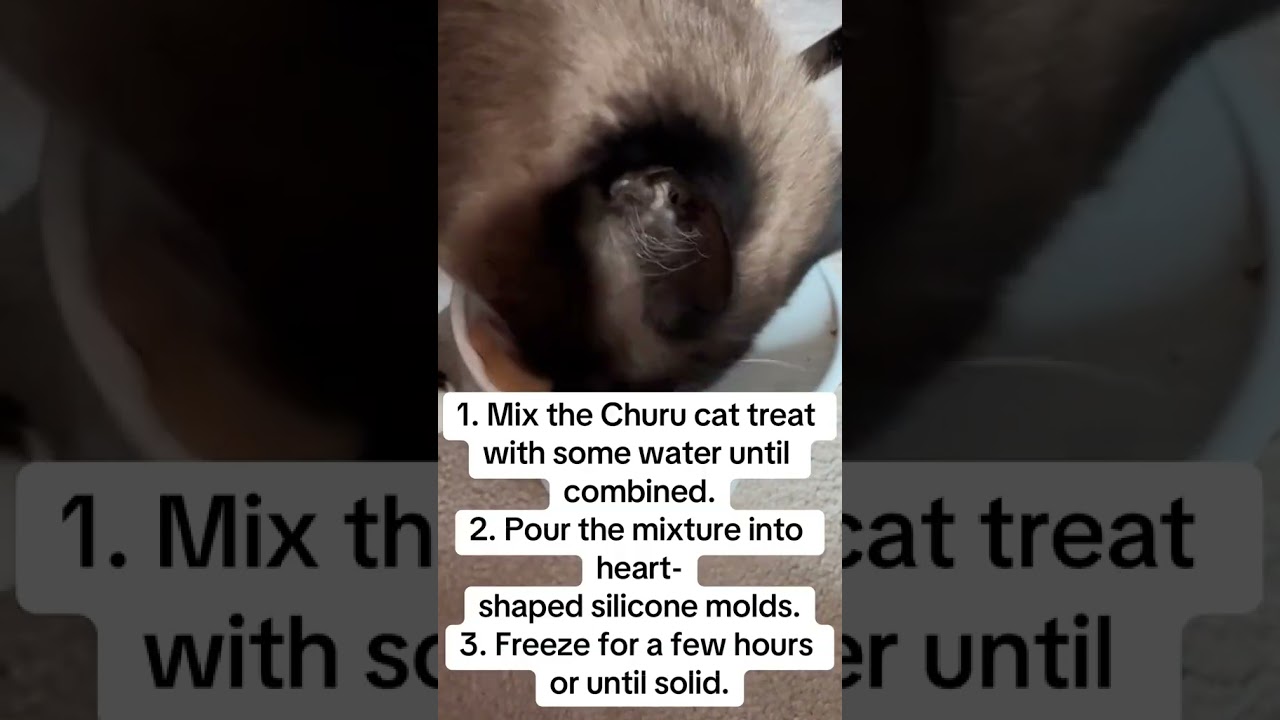 Easy Frozen Cat Treat Recipe with Churu