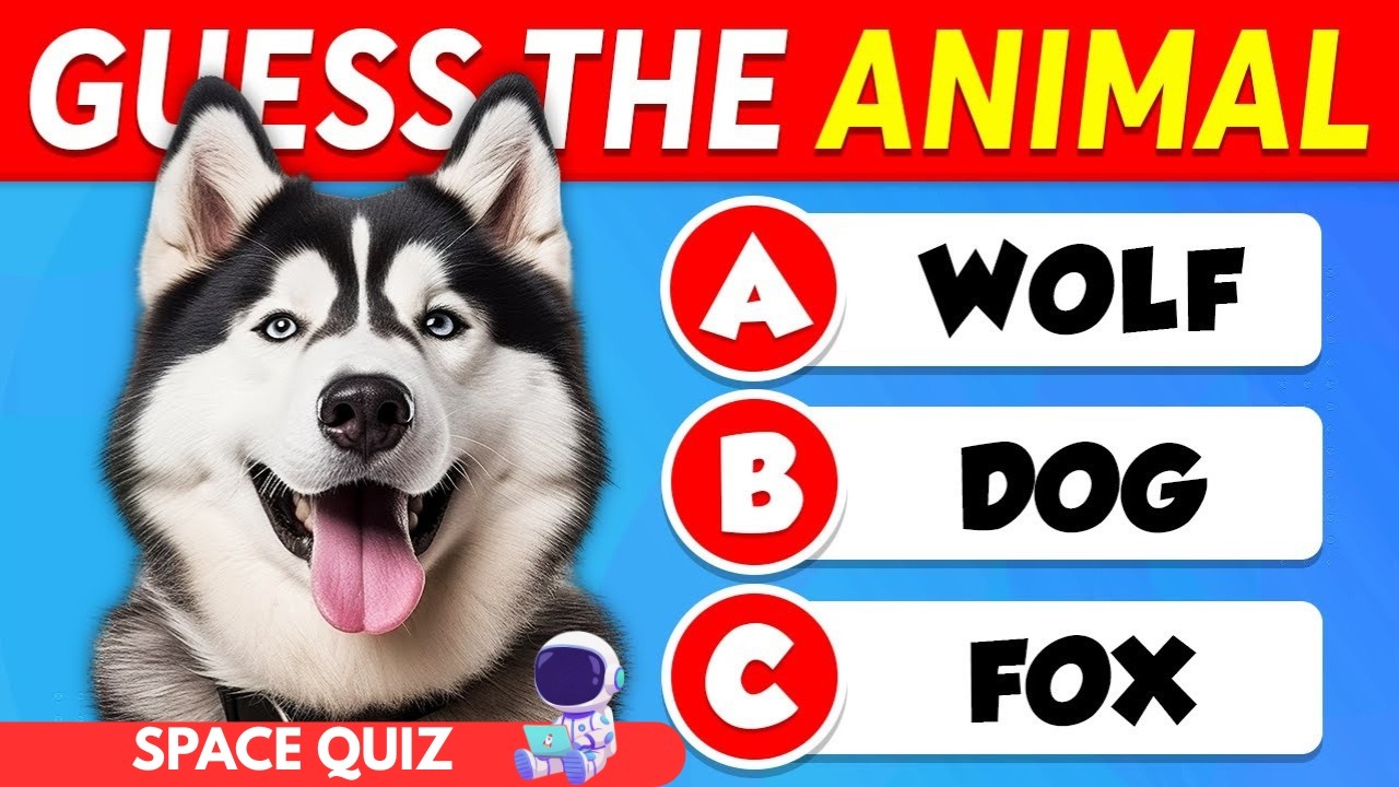 Guess The ANIMALS..! 🐶🐱 EASY to IMPOSSIBLE 🧠🤯 | Rescued The TRAPPED Animals | Animals Story Quiz