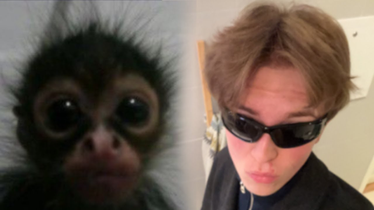 IVN SHOWING THE FULL POTENTIAL OF SHACK | TIXFO | DEAD BY DAYLIGHT