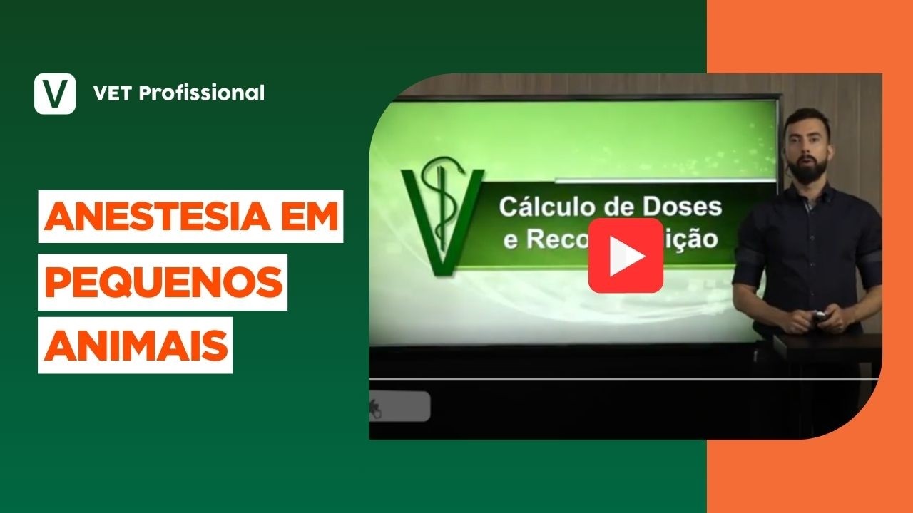 Cálculo de Dose: O erro que você não pode cometer na clínica veterinária | VET Profissional