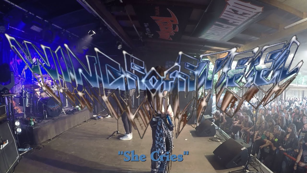 WINGS OF STEEL - 