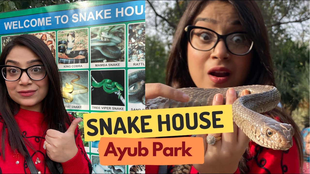 Ayub National Park Rawalpindi Pakistan | Snake house | Vlog #ayubpark  #snakehouse #rawalpindi