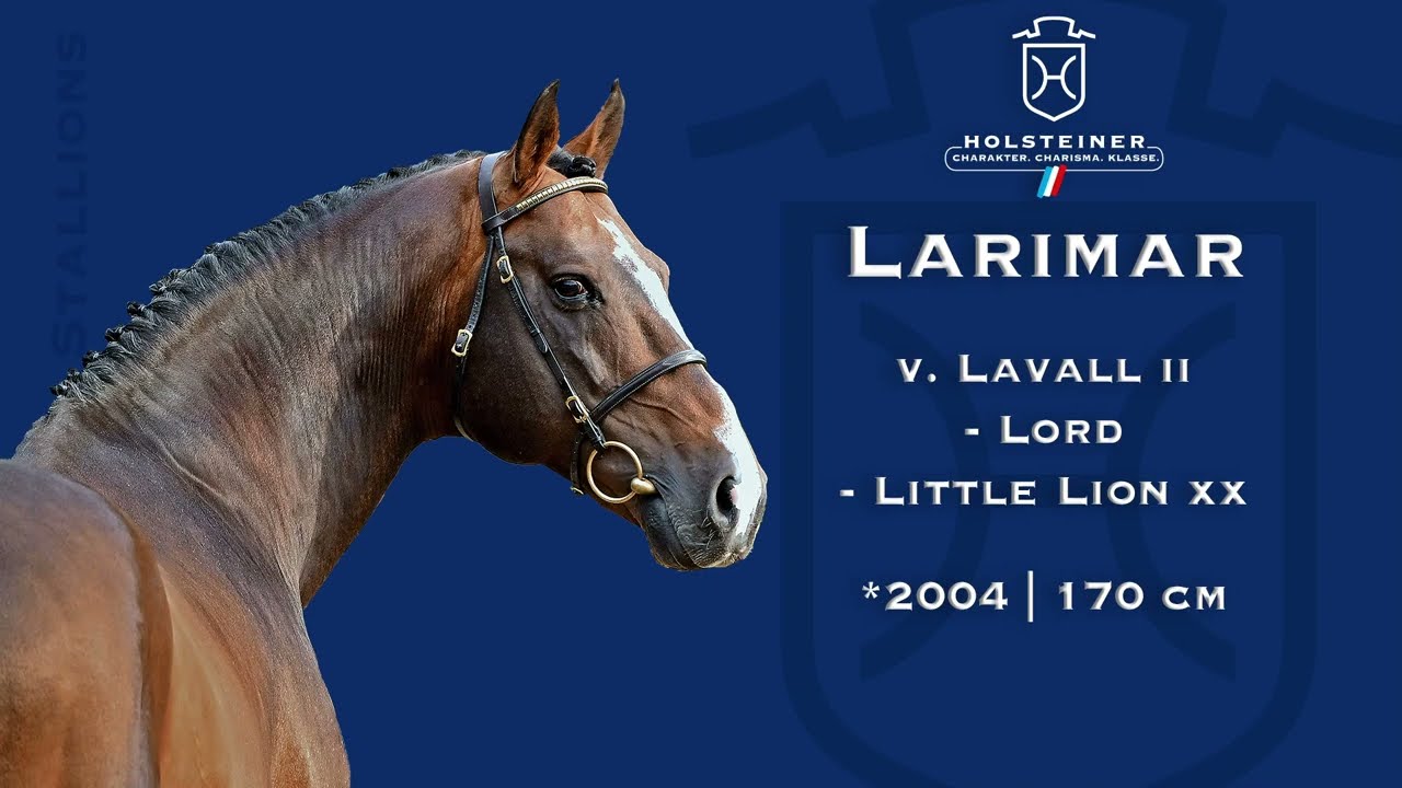 Holsteiner Verbandshengste 2023 | Larimar