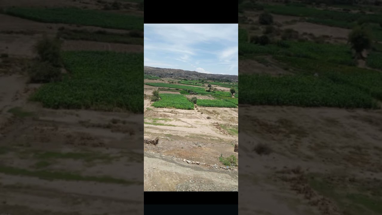 قصيده حسين محمد سالم العروي 