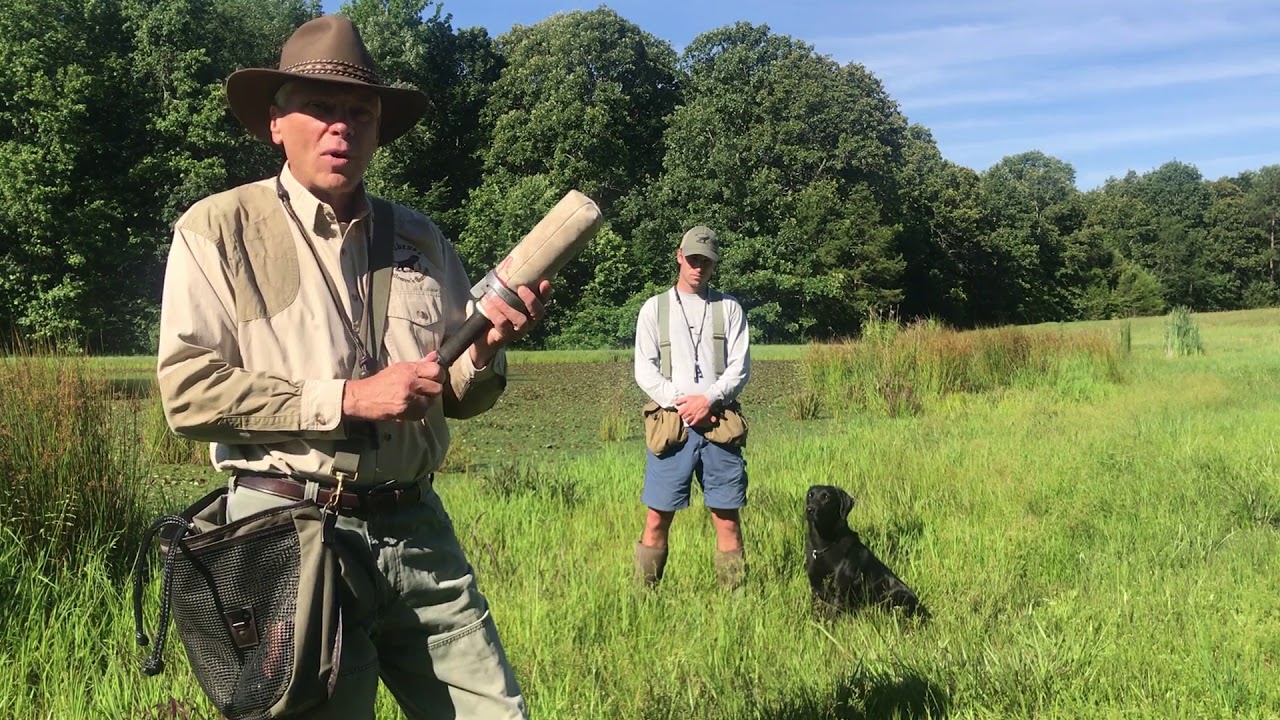 Introducing Gunfire to Your Dog