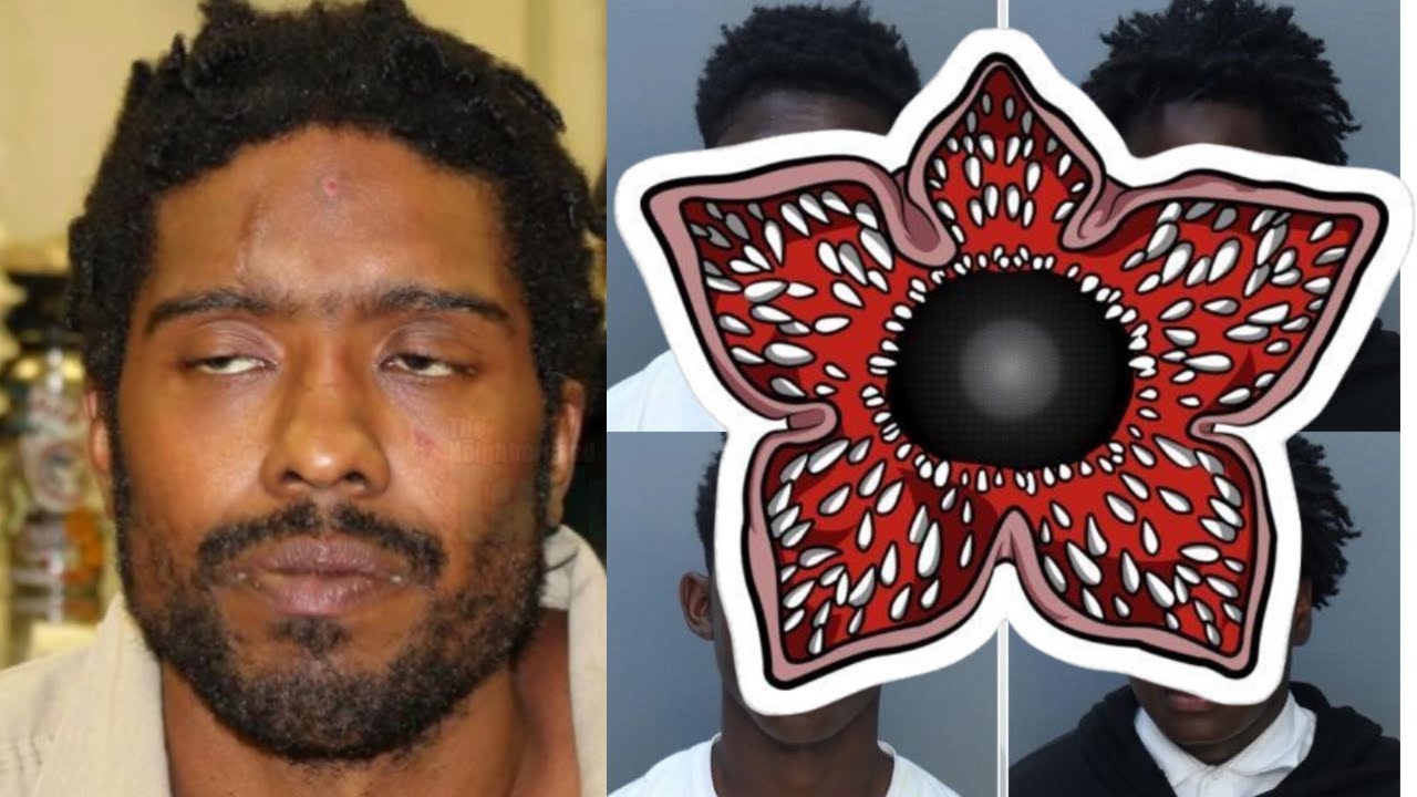 Woman Stabbed 90 Times by Roommate & 3 Miami Teens Charged in Child Assault Case