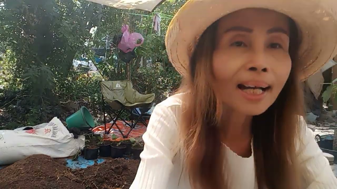 วันนี้พามาเตรียมดินเพื่อเพราะชำต้นกล้าค่ะ#เตรียมดินใส่กระถาง #เกษตรผสมผสาน