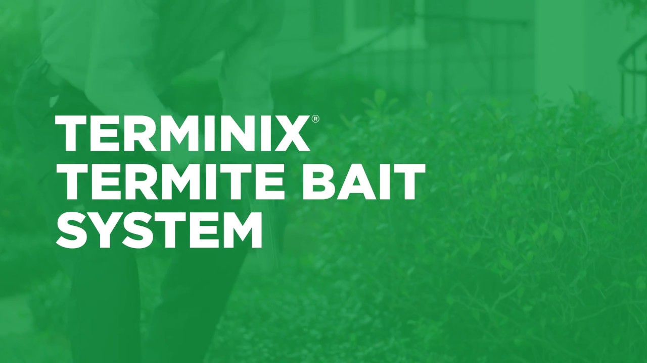 How Termite Bait Stations Work with Terminix