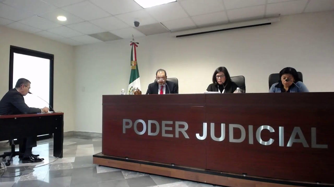 Sesión de Pleno, 17 de febrero de 2026