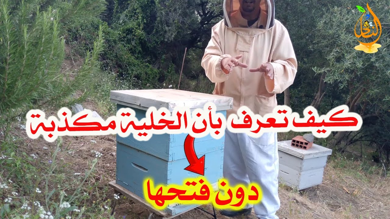 3 خطوات بسيطة! كيف تعرف بأن الخلية مكذبة دون فتحها!