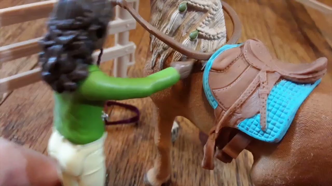 Bird Set Free (Schleich Music Video)