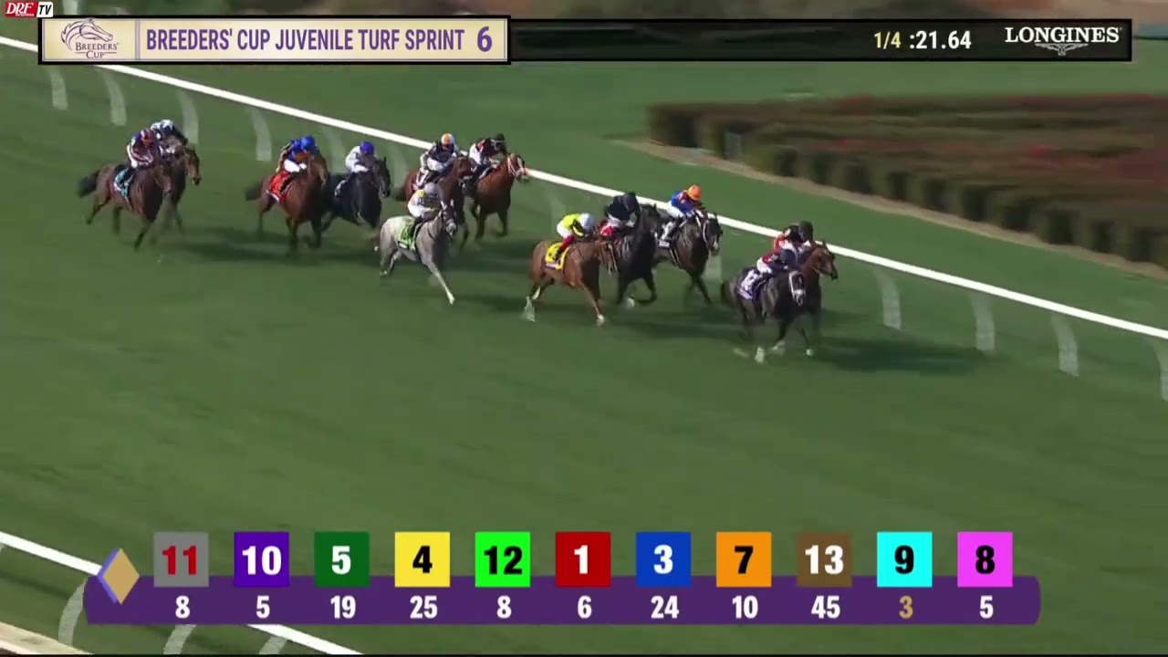 Cy Fair (Not This Time) - Breeders' Cup Juvenile Turf Sprint G1 ($1,000,000) - Del Mar