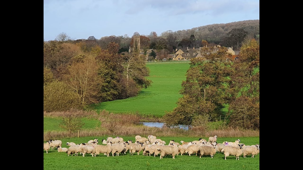 Windrush River walk number 2: Burford to Windrush village