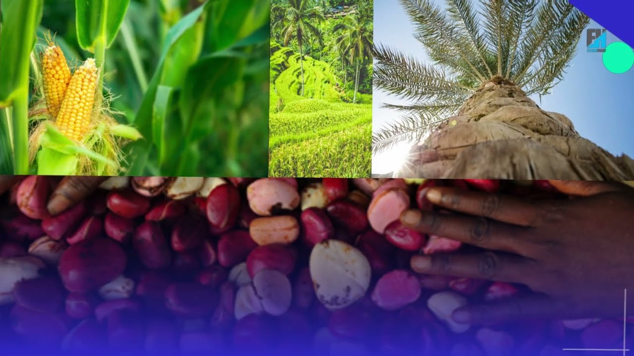 INTERACTION AMONG THE COMPONENTS OF AGRO-ECOSYSTEM IN SOME FARM SETTINGS