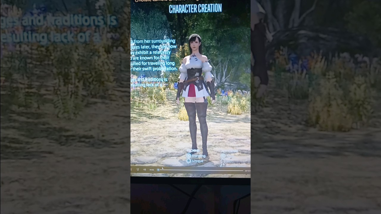 Why is there a "No clothes" option in RPG games?(Final Fantasy XIV)
