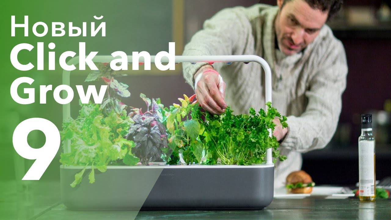 Идея для подарка: новый умный сад Smart Garden 9. Вся зелень растет сама!