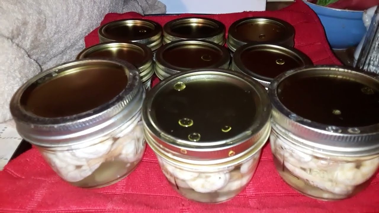 Canning Shrimp 