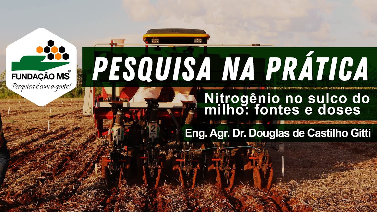 Nitrogênio no sulco do milho: fontes e doses