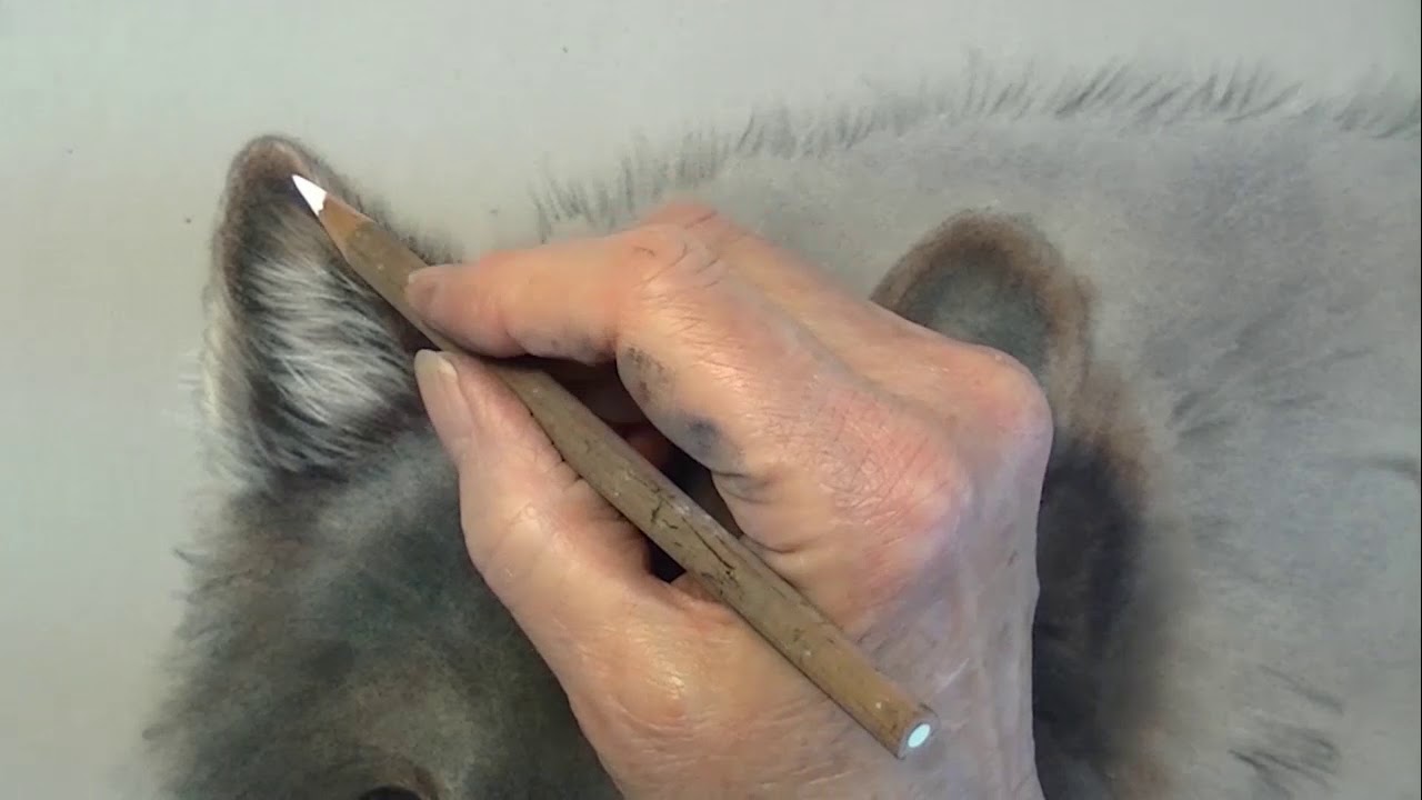 Winter Coat part 5