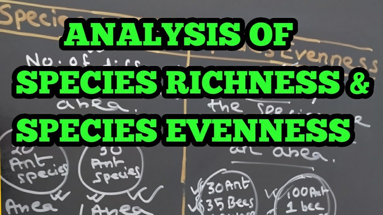 SPECIES RICHNESS VERSUS SPECIES EVENNESS WITH SIMPLE EXPLANATION |  BIODIVERSITY