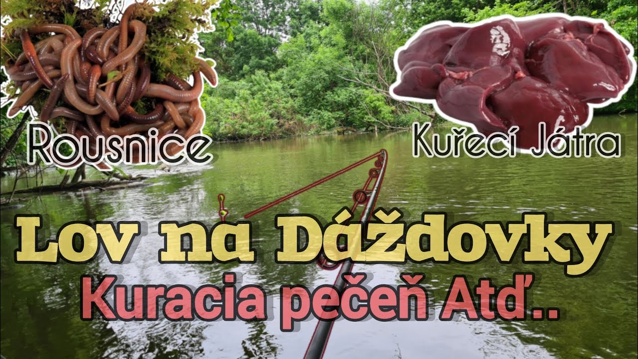 Lov na Dáždovky/Rousnice/ Lov na Kuraciu Pečeň/Lov na Kuřecí Játra/Lov na Rieke/Lov na Stojatej vode