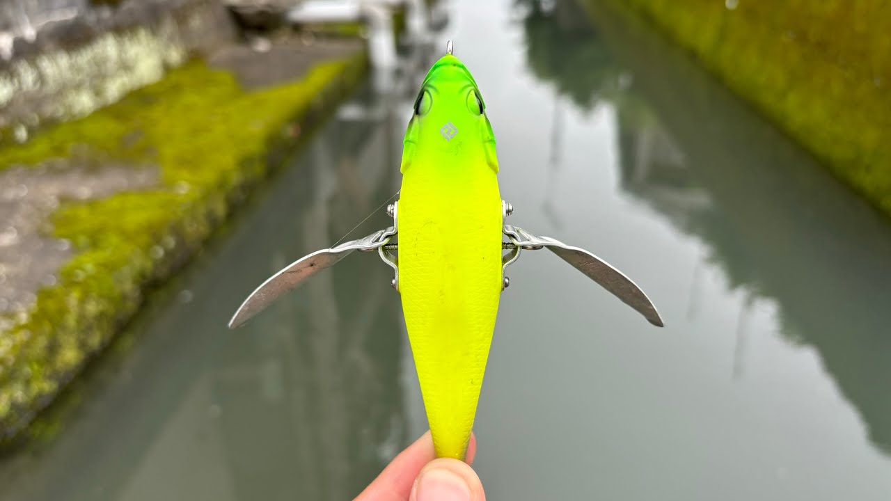 バナナみたいなルアーでナマズ釣り
