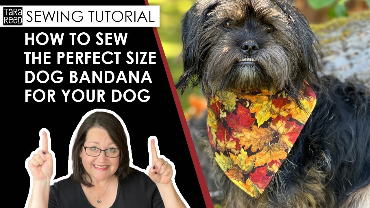 🧵 🐶 How to Sew the Perfect Sized Bandana for Your Dog - DIY Dog Bandana tutorial