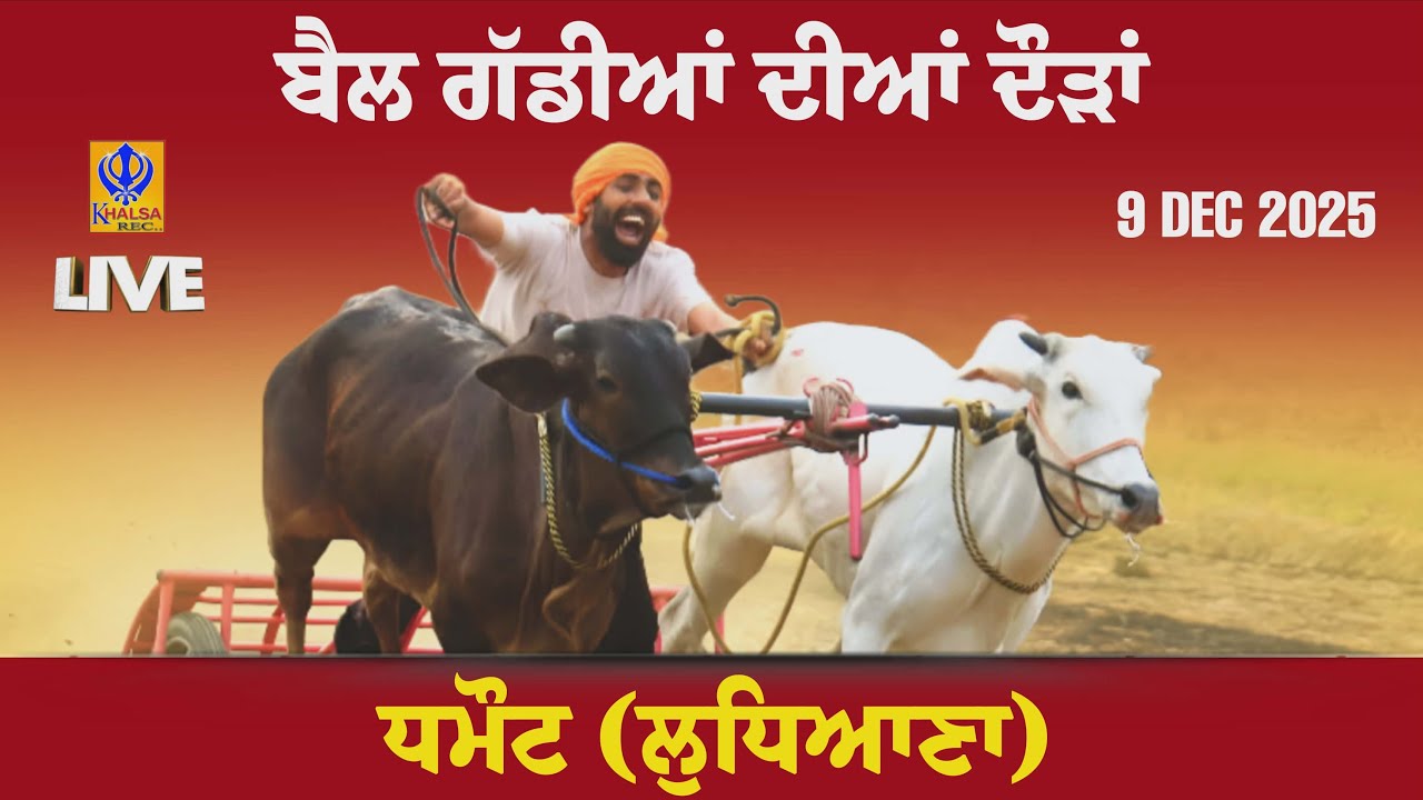 🔴[Live] Dhamot | Ludhiana | Ox Races | ਬੈਲ ਗੱਡੀਆਂ ਦੀਆਂ ਦੌੜਾਂ | बैलगाड़ी दौड़ | 09 Dec 2025