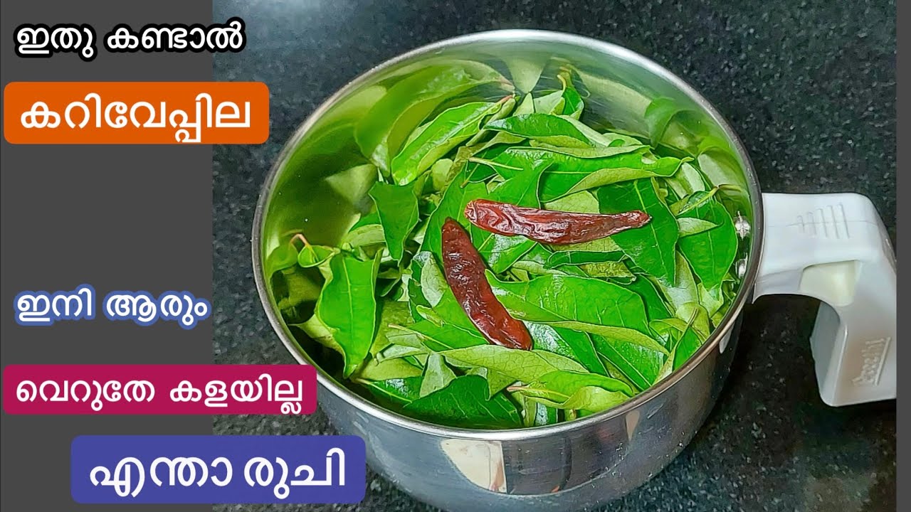 കറിവേപ്പില മിക്സിയിൽ ഒറ്റ കറക്കൽ//ഒരിക്കലെങ്കിലും ഇങ്ങനെ ചെയ്തു നോക്കു//Curry leaves Chammandi Podi