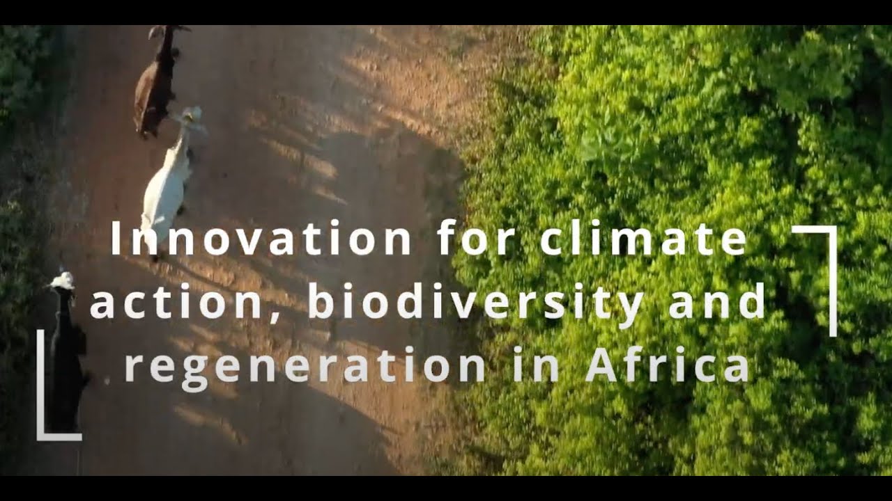 Innovation for Climate Action, Biodiversity & Regeneration in Africa