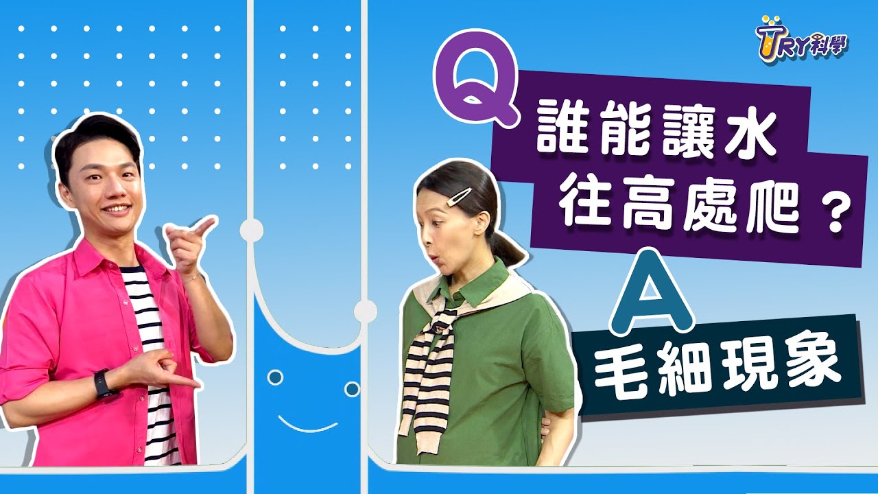 【TRY科學】20211124 - 誰讓水往上爬 ,毛細現象 ,水的移動