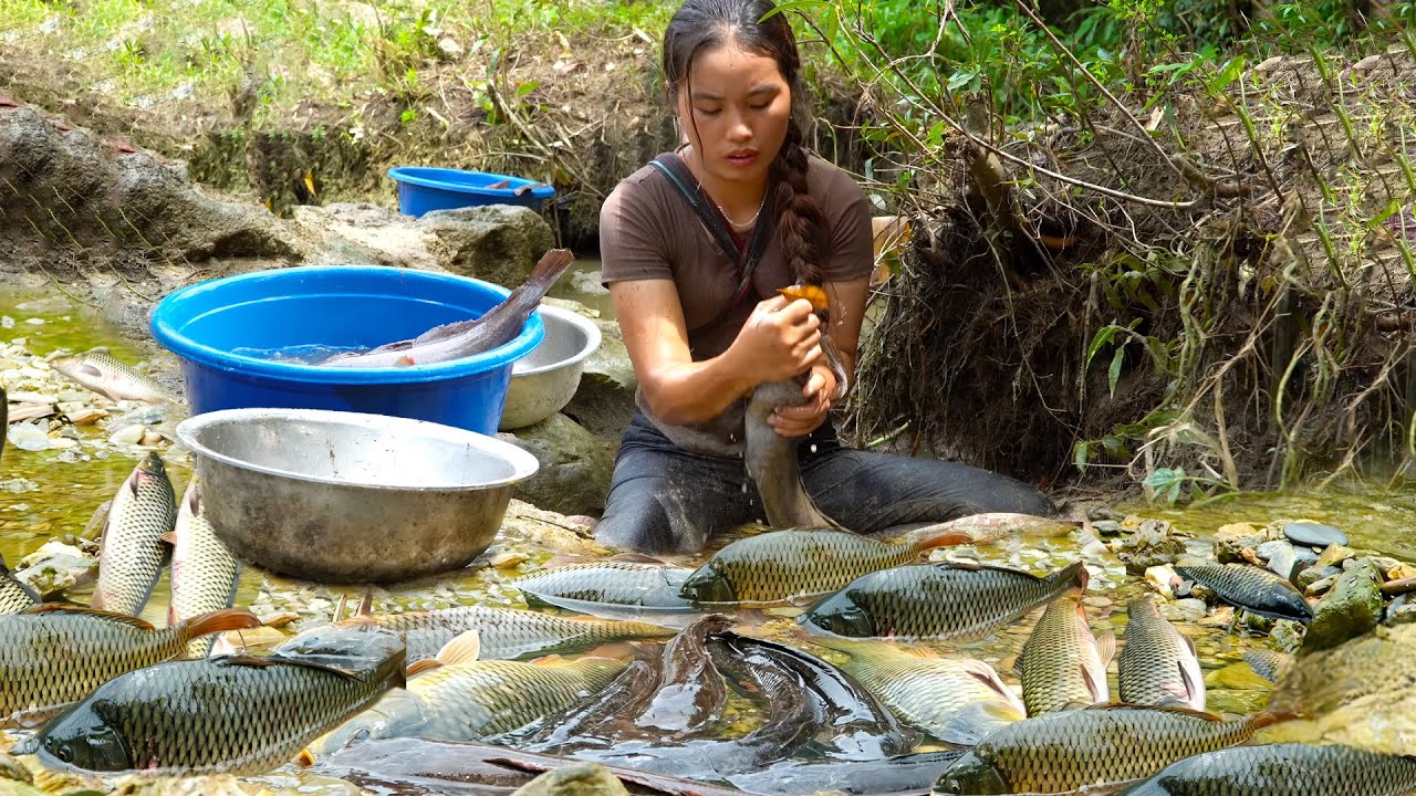 How to catch giant carp and catfish by hand to sell at the market on rainy day, cook for my children